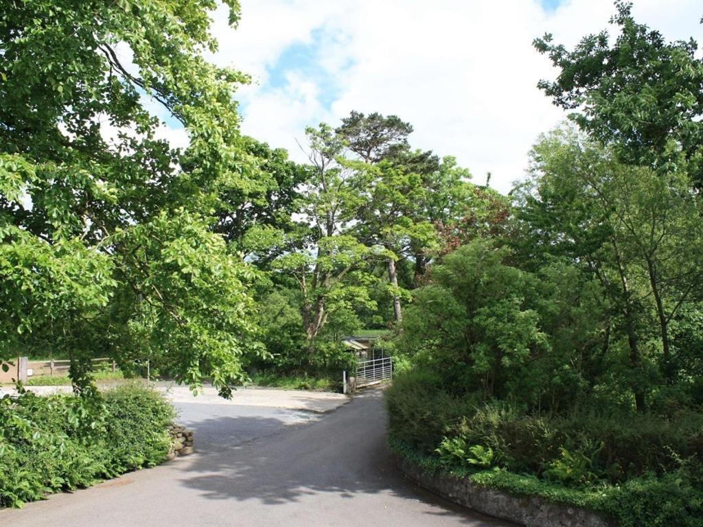 Ballylagan Organic Farm Straid  Værelse billede